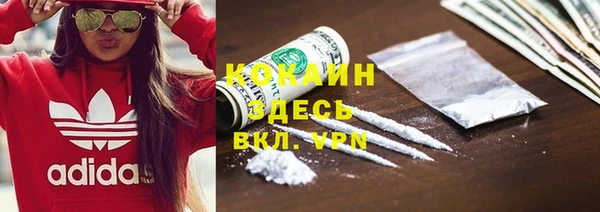 гашик Алзамай