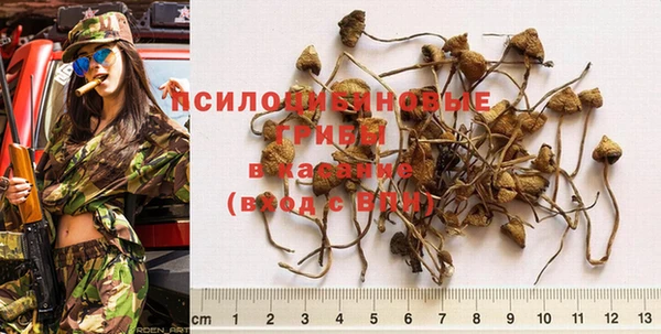 гашик Алзамай