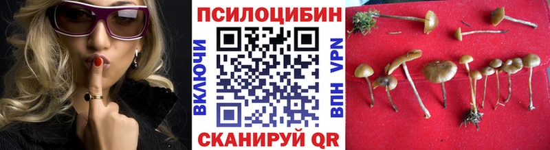 что такое наркотик  Ермолино  Галлюциногенные грибы MAGIC MUSHROOMS 
